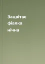 Зацвітає фіалка нічна