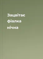 Зацвітає фіалка нічна