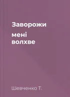 Заворожи мені волхве