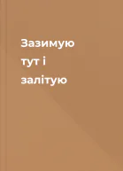 Зазимую тут і залітую