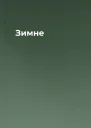 Зимне