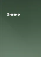 Зимне