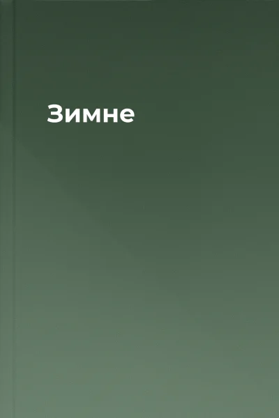 Зимне
