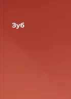 Зуб