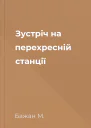 Зустріч на перехресній станції
