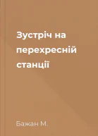 Зустріч на перехресній станції